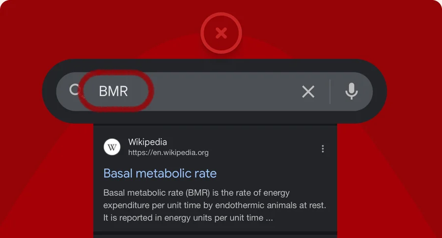 BMR search without industry context: Basal Metabolic Rate.